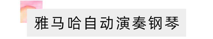 活动报道 | “科技助力，跨越时空”，小鹿纯子携手刘明康共享中日音乐盛宴